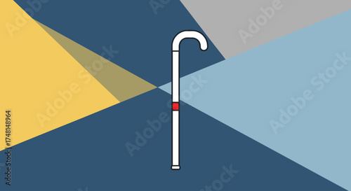 Flag with a white cane in the center, divided into four colors.