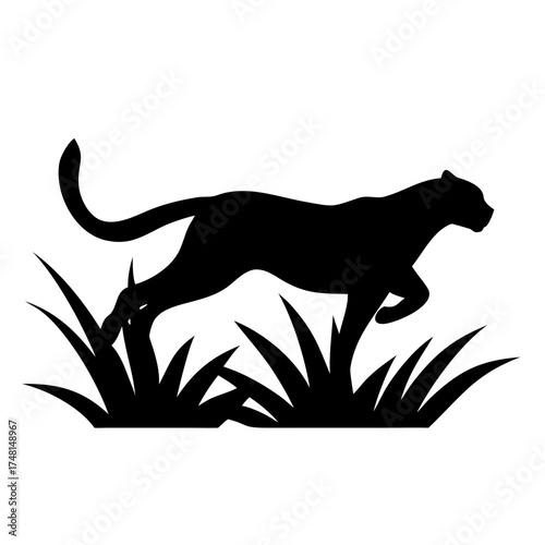 Silhouette of a black panther prowling through grass