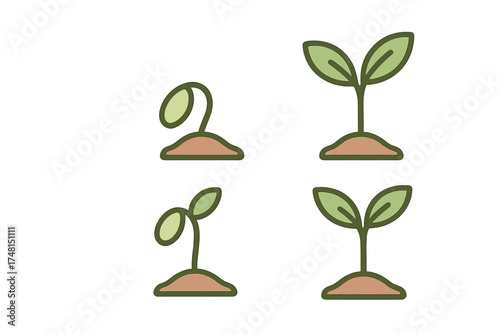 Sequential stages of young plant growth from seed germination to seedling sprout emerging from soil mounds