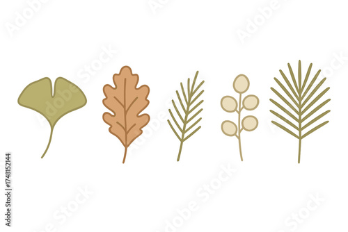 Stylized collection of autumn leaves and natural botanical elements in earthy colors