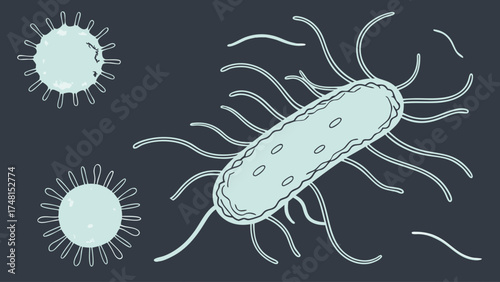 Bacteria and Virus Illustration Medical Science and Education Graphic Design.