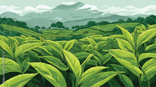 Vibrant Green Tea Plantation Landscape - Organic Tea Illustration
