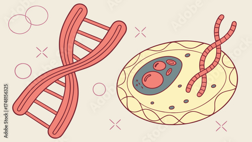 DNA double helix and cell illustration science biology genetics education medical healthcare cartoon vector graphic design art chromosome cell structure nucleus organelles molecul.