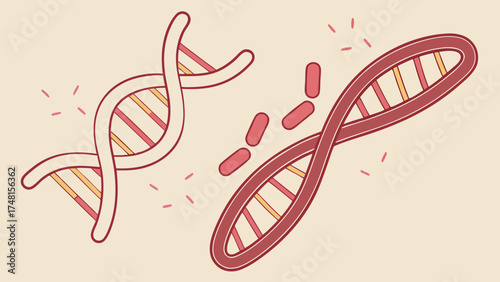 DNA double helix structure genetic code science biology medical illustration chromosome genetics research healthcare medicine biotechnology molecular biology genomics scientific illu.