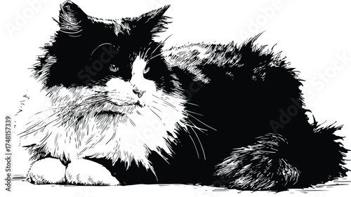 Majestic Black and White Sitting Cat Graphic Design Illustration