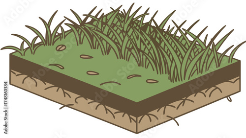 Cross-section illustration of grass soil and roots showing plant growth and ground structure.