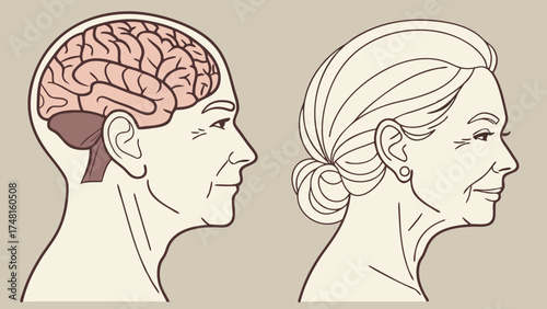 Illustration of the Human Brain and Aging Womans Profile.