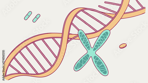 DNA double helix chromosome pills genetic medical illustration science background biology healthcare research medicine biotechnology pharmaceutical genetics cell molecular structur.