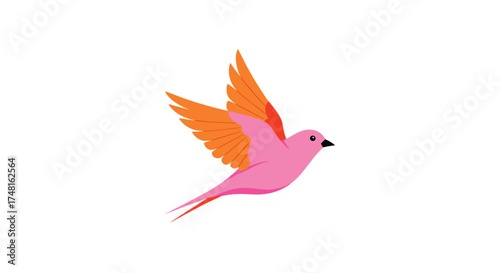 A vibrant pink and orange bird takes flight against a clean white background symbolizing freedom and joy.