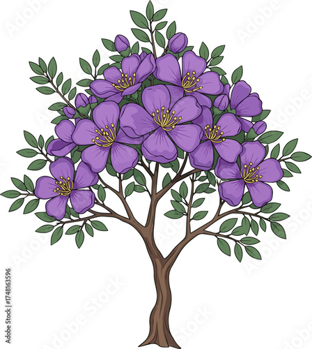 Isolated a kinds of deferent tree, Lignum vitae, purple flower vector art with white background.