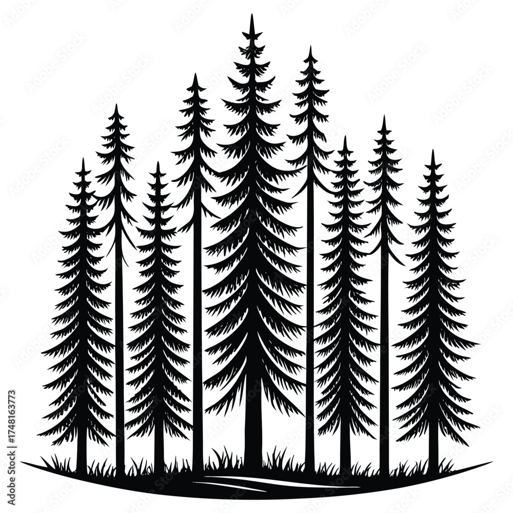Obraz premium A black silhouette of a pine tree forest