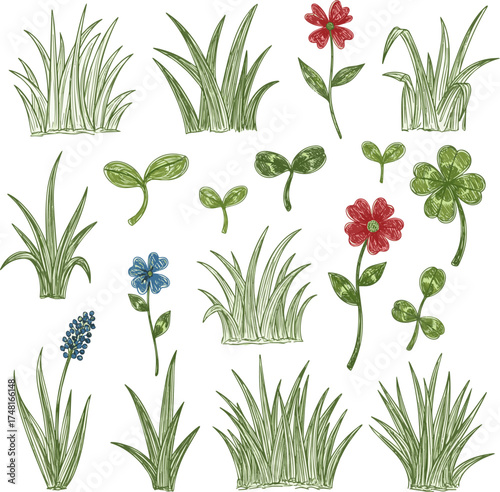 Isolated a kinds of deferent Set of grass hand drawn grass field outline scribble background. Sprout, flower, clover elements. vector art color with white background..