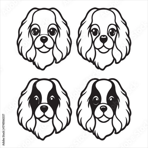 A Regal Affectionate Cavalier King Charles Spaniel Dog Portrait, Showcasing its Silky Coat, Large Eyes, and Feathered Ears, a Gentle Companion Toy Breed with Royal Charm and a Sweet Nature.