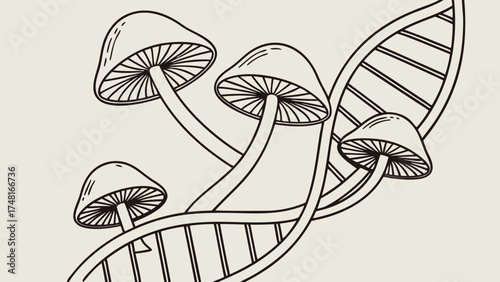 Line art illustration of mushrooms and DNA strand scientific nature biology botany genetics mycology.