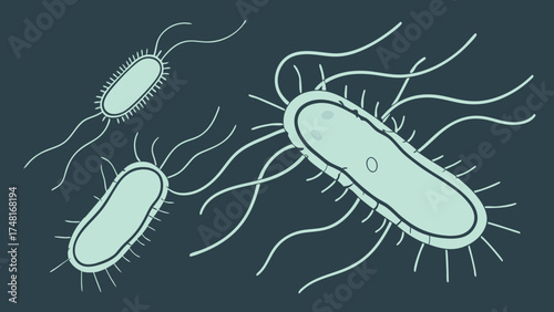 Microscopic Bacteria Illustration Rod Shaped Microbiology Science Healthcare Medical Vector Graphic Cell Biology.