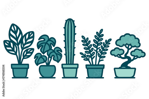 Assortment of potted indoor houseplants including cactus, monstera, and bonsai tree