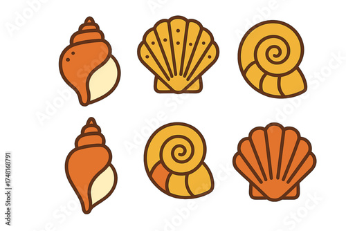Collection of six stylized ocean seashells including conch, scallop, and spiral shells in warm colors