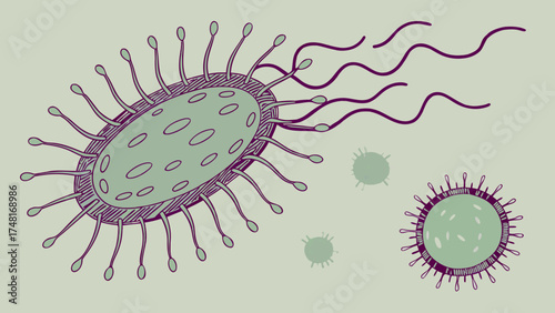 Stylized illustration of viruses microscopic organisms medical science health illness infection bacteria cell pathogen virology microbiology research science biology healthcare med.