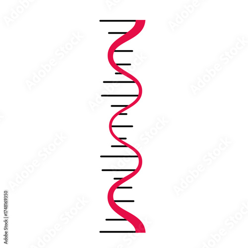 DNA Molecule Strand Graphic