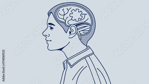 Profile View Illustration of a Persons Head with Brain Anatomy Shown Inside.
