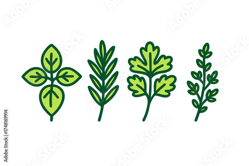 Stylized green culinary herbs and spices leaves isolated on white background