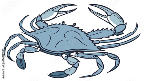 Stylized Blue Crab Illustration Seafood Clipart Aquatic Animal Design Crustacean Graphic Ocean Creature Art.