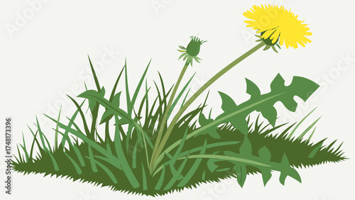 Yellow Dandelion Flower in Green Grass Spring Meadow Illustration Nature Botanical Design.