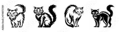Four black and white sketches of cats with expressive faces and bushy tails depicted in dynamic poses.