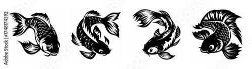 Four detailed koi fish portraits in black and white artistic rendering series