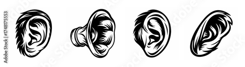 Four detailed artistic sketches of human ears in different perspectives with black ink outlines and shading