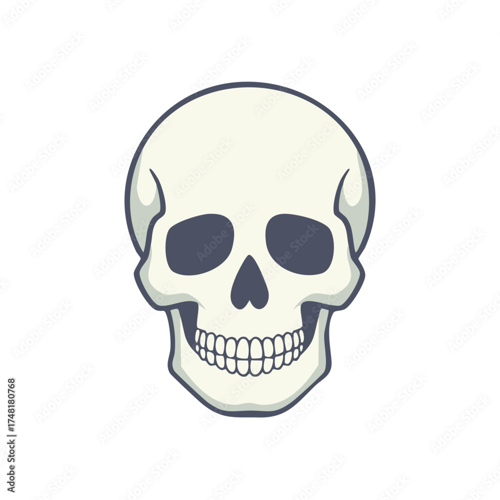 Fototapeta premium Illustration of a human skull with a neutral expression and visible teeth