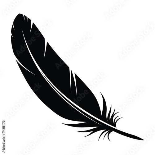 Elegant silhouette of a single black feather with detailed barbs on a white canvas