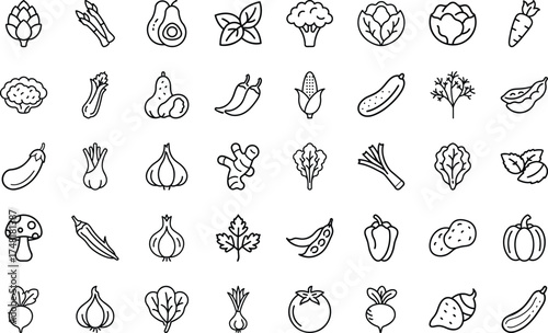 Vegetable And Organic Food icon set.  Collection With vegetable, tomato, cucumber, onion, pumpkin, pepper, eggplant, zucchini, avocado, spinach, peas, corn, garlic, Vector Icon Set On White Background