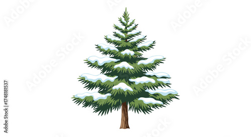A beautifully decorated evergreen tree adorned with a fresh blanket of snow.