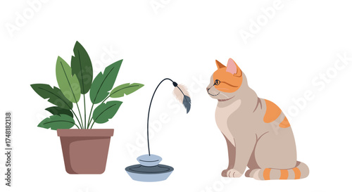 An adorable orange and white cat sits patiently by its toy and potted plant.