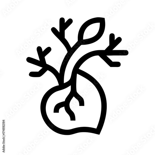 Illustration of a plant sprouting from a seed