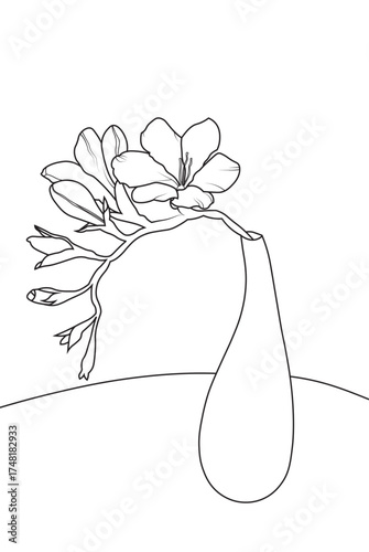 Freesia flowers in a vase