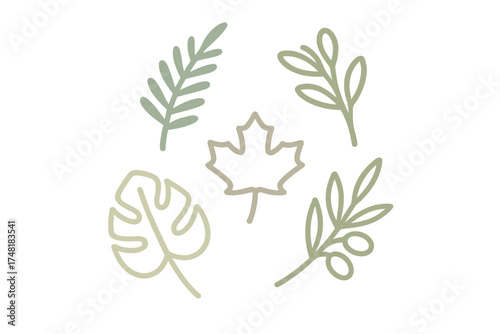 Minimalist botanical elements set featuring maple, monstera, and olive leaves in earthy tones