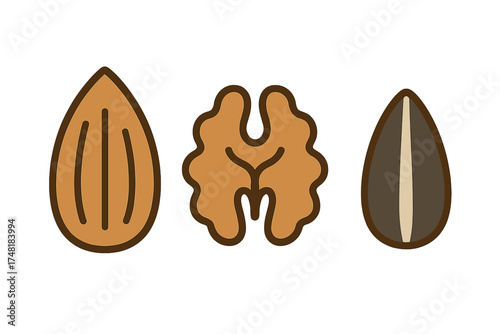 Collection of healthy nuts and seeds including almond, walnut, and sunflower seed kernel