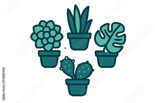 Collection of popular potted indoor houseplants including succulent cactus and tropical foliage