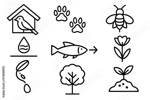 Habitat Indicator Icons. Line style icons of habitat indicators: bird nesting sign, animal footprints, insect pollinator icon,