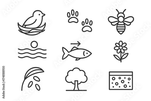 Habitat Indicator Icons. Line style icons of habitat indicators: bird nesting sign, animal footprints, insect pollinator icon,