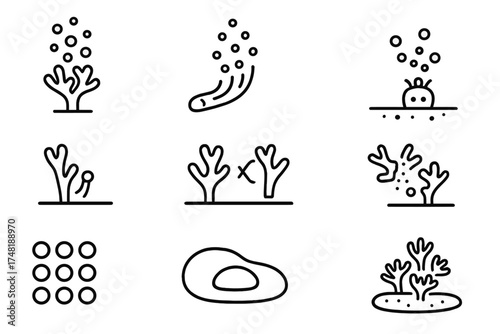 Coral Life Cycle Icons. Line style icons of coral reproduction: coral spawning, gamete release, larval settlement, coral polyp