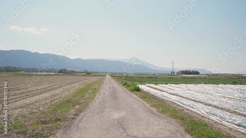 farm fields on the island of Shikoku, Japan