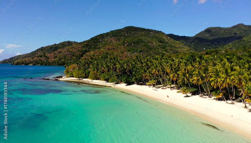 Fototapeta premium Tropical beach paradise (2)