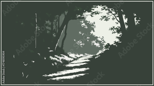 Forest Path with Sunlight.