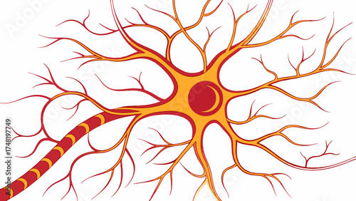Abstract Neuron Illustration with Dendrites and Axon.
