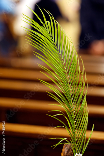 Sainte Catherine church. Holy week. Sunday palm celebration.  Bonneville. France.