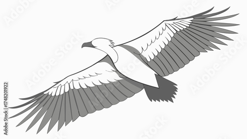 Flying Bird Silhouette Illustration.