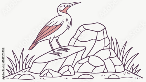 Illustration of a stylized bird standing on a rock.